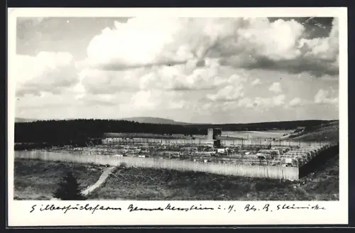 AK Benneckenstein i. H., Silberfuchsfarm aus der Vogelschau