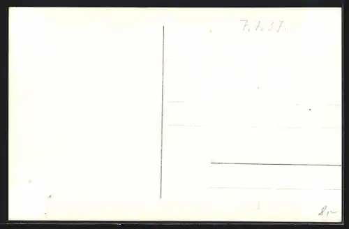 AK Benneckenstein i. H., Silberfuchsfarm aus der Vogelschau