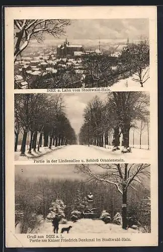 AK Diez a. Lahn, Teilansicht vom Stadtwald-Hain, Kaiser Friedrich Denkmal, Lindenallee u. Schloss Oranienstein