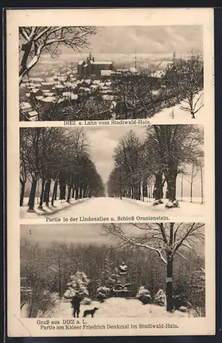 AK Diez a. Lahn, Teilansicht vom Stadtwald-Hain, Kaiser Friedrich Denkmal, Lindenallee u. Schloss Oranienstein