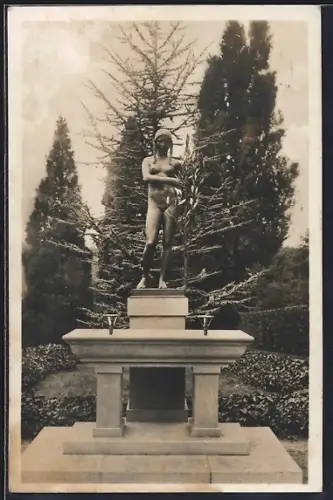 AK Berlin-Dahlem, Schmuckbrunnen im Botanischen Garten