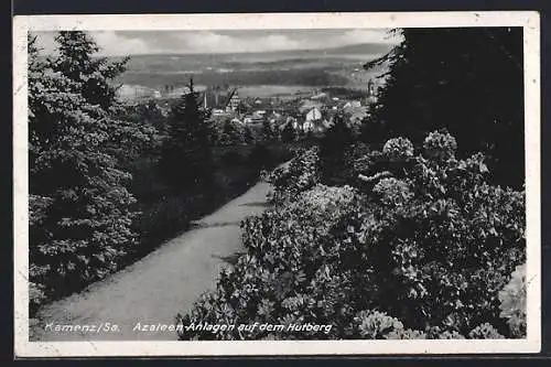 AK Kamenz /Sa., Azaleen-Anlagen auf dem Hutberg