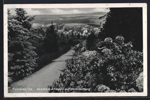 AK Kamenz /Sa., Azaleen-Anlagen auf dem Hutberg