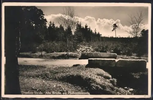 AK Dresden-Dresdner Heide, Alte Brücke am Heidemühlenweg