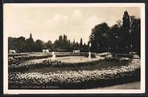 AK Erfurt, Sorge-Brunnen im Stadtpark