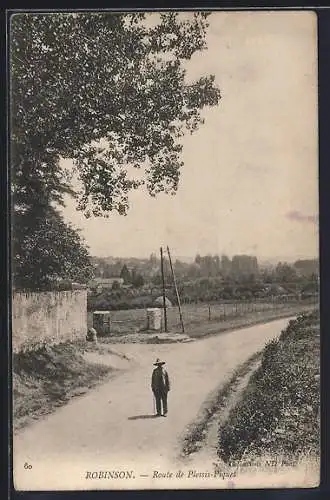 AK Robinson, Route de Plessis-Piquet avec un homme sur le chemin et vue sur la campagne environnante