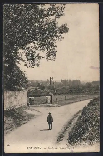 AK Robinson, Route de Plessis-Piquet avec un homme sur le chemin et vue sur la campagne environnante