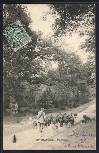 AK Chaville, Pèlerinage avec troupeau sur le chemin forestier