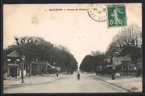 AK Bellevue, Avenue du Château
