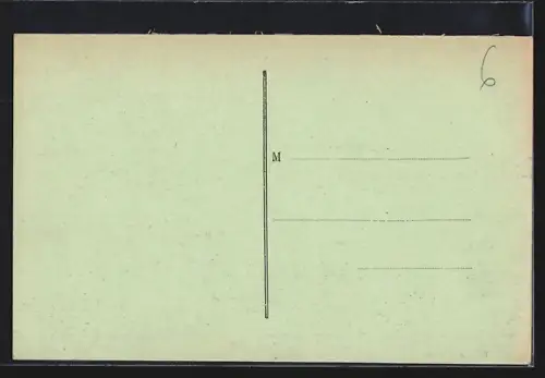 AK Panissières, Vue générale