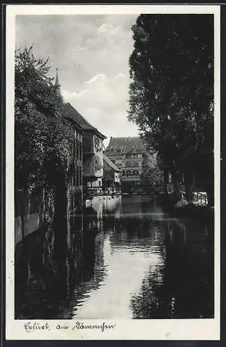 AK Erfurt, Am Dämmchen
