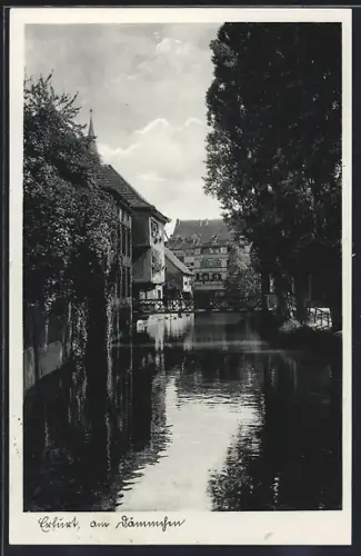 AK Erfurt, Am Dämmchen