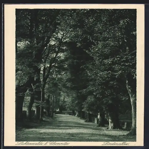 AK Lichtenwalde b. Chemnitz, Lindenallee