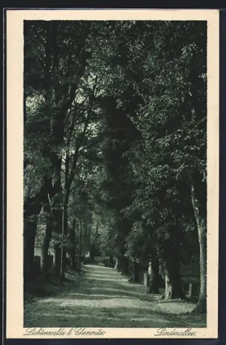 AK Lichtenwalde b. Chemnitz, Lindenallee