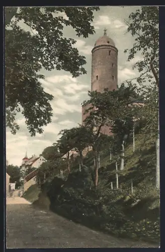 AK Bautzen, Alte Wasserkunst am Neutor