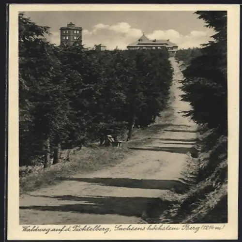 AK Fichtelberg /Sachsen, Waldweg