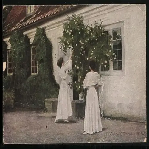 Künstler-AK sign. H. Slott-Moller: Weisse Rosen, Dänische Kunst