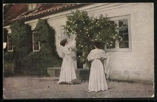 Künstler-AK sign. H. Slott-Moller: Weisse Rosen, Dänische Kunst