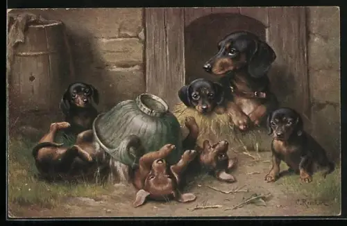 Künstler-AK C.Reichert: Dackelhündin mit ihren spielenden Welpen