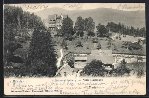 AK Münster, Melkerei Solberg, Villa Hartmann