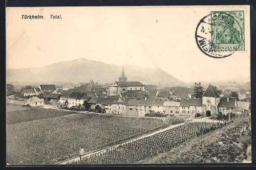 AK Türkheim, Vue totale du village avec vignobles et montagnes en arrière-plan