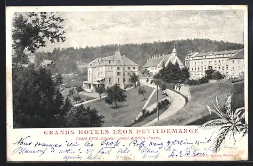 AK Trois-Épis, Grands Hôtels Léon Petitdemange entourés de forêts