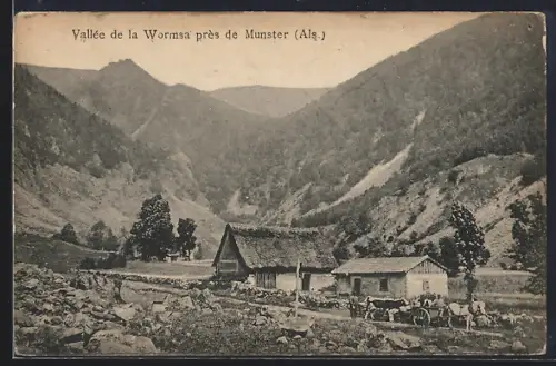 AK Munster /Als., Vallée de la Wormsa avec maisons rurales et montagnes environnantes