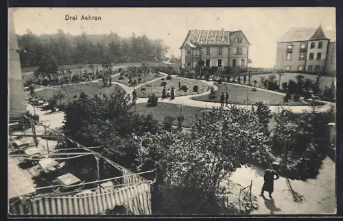 AK Drei Ähren, Vue du jardin avec maisons et promeneurs