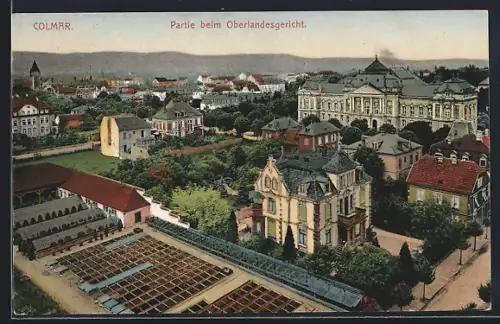 AK Colmar, Partie beim Oberlandesgericht