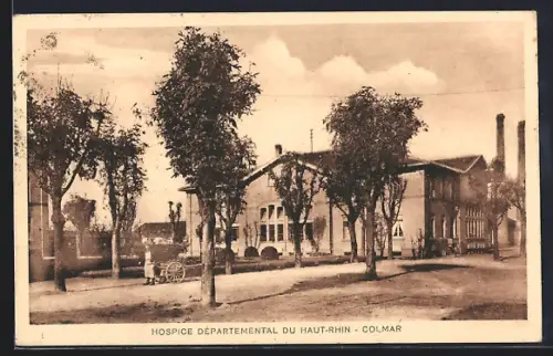 AK Colmar, Hospice départemental du Haut-Rhin avec allée d`arbres