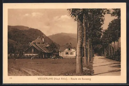 AK Wesserling /Haut Rhin, Route de Bussang et maisons rurales