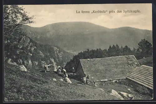 AK Metzeral, La ferme Kerbholz près des Spitzköpfe