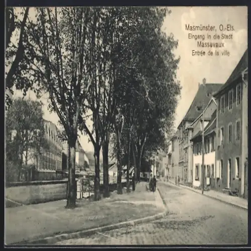 AK Massevaux, Entrée de la ville avec arbres alignés et maisons adjacentes