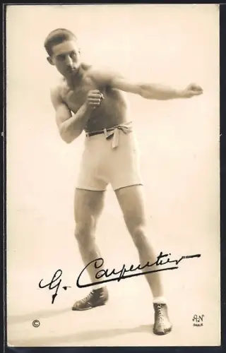 AK Boxer G. Carpentier in Pose
