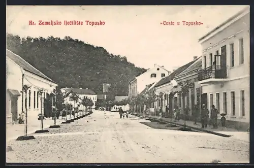 AK Topusko, Kr. Zemaljsko ijeciliste Topusko, Cesta u Topusko