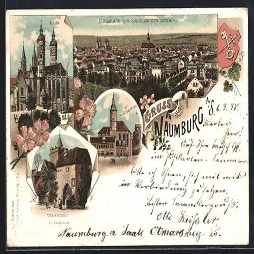 Lithographie Naumburg /Saale, Dom, Ortsansicht vom Bürgergarten gesehen, Marientor