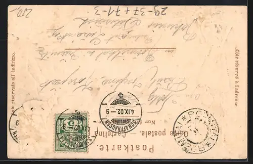 Passepartout-Lithographie Rheinfall, Ansicht der Wasserfälle aus der Vogelschau, Wanderausrüstung und Gemse