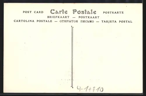 AK Troyes-en-Champagne, Manifestation contre le décret retirant aux vignerons de l`Aube leurs droits séculaires