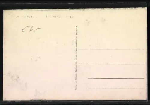 AK Hamburg-Uhlenhorst, Villen am Feenteich