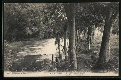 AK Boën /Loire, Le Lignon sous Trelins