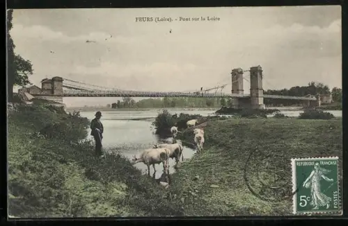 AK Feurs /Loire, Pont sur la Loire avec troupeau de vaches au bord de l`eau