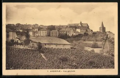 AK Ambierle, Vue générale