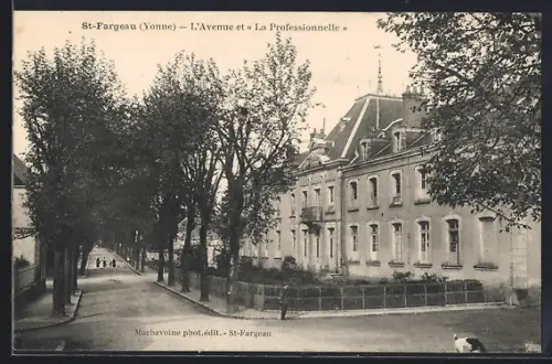 AK St-Fargeau /Yonne, L`Avenue et La Professionnelle