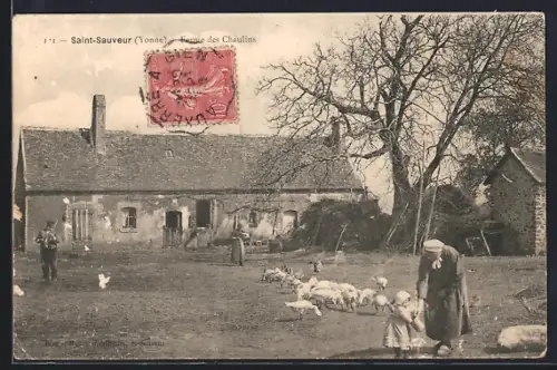 AK Saint-Sauveur /Yonne, Ferme des Chaulins avec troupeau et villageois en pleine campagne