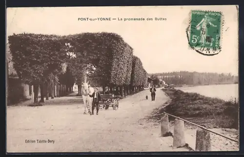 AK Pont-sur-Yonne, La promenade des Buttes