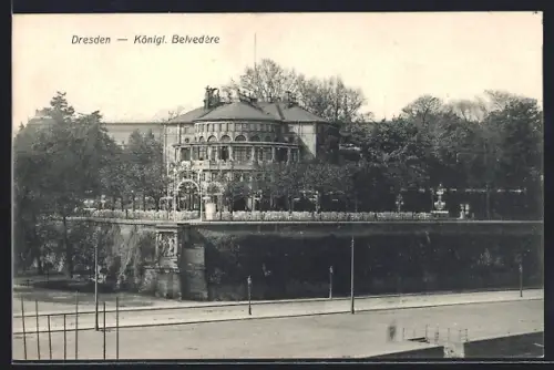 AK Dresden, Königl. Belvedère