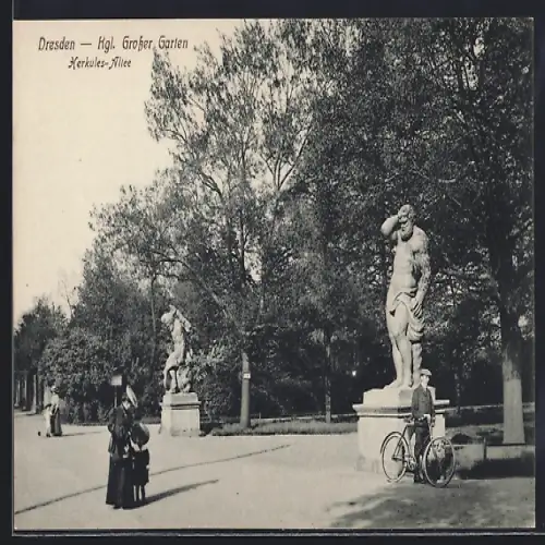 AK Dresden, Kgl. Grosser Garten, Herkules-Allee mit Statuen