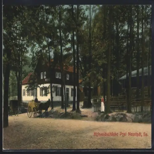 AK Neustadt /Sa., Gasthaus Hohwaldschänke