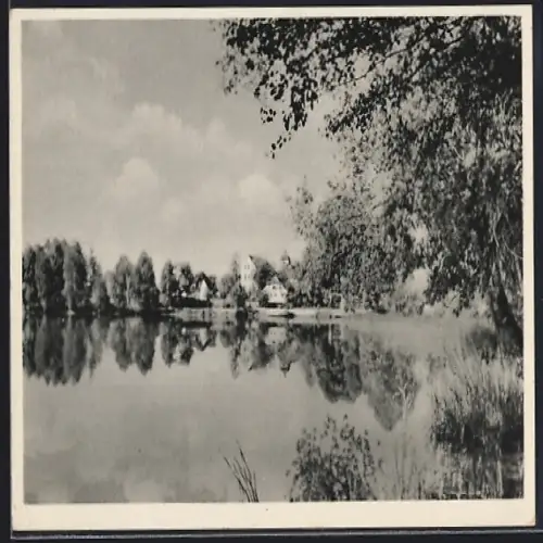 AK Peitz /N.L., Partie am Hälterteich