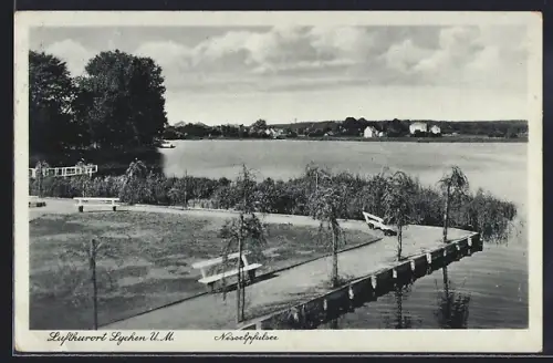 AK Lychen /U. M., Nesselpfuhlsee mit Sitzbänken am Ufer